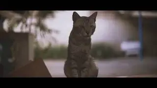 quarantine cinematic b-roll.