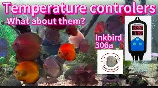 Temperature controllers , useful ?, inkbird 306a #temperaturecontrolers #inkbird306a