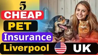5 Cheapest Pet Insurance Companies in Liverpool UK for 2025 | Best Budget Plans for Dogs & Cats