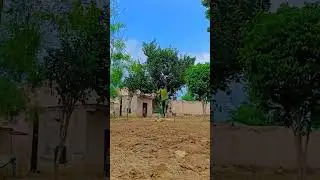 Ariel twist #jump#gatka akhara lakha#flip video