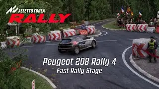 Rally Stage in France - Peugeot 208 Rally4