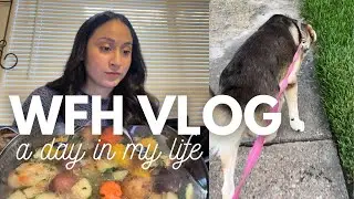 Work From Home Vlog ~ Day in the life of a Nutritionist ~ vegan meals, cat chronicles