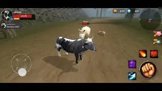 Mad Rhino Killing Hyena / The Cow Simulator
