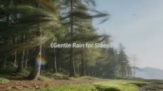 Gentle Rain for Sleep | Ultra-Steady Sleep for Light Sleepers