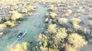 Drone Hog Hunting