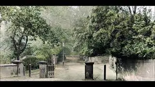 New Ferry 33 Photos
