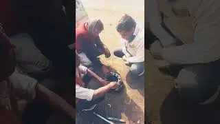 powertrac clutch assembly🧰#youtubeshorts #shortsfeed #automobile #nature
