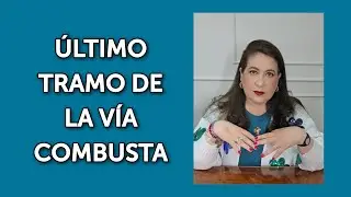 &Uacute;LTIMO TRAMO DE LA V&Iacute;A COMBUSTA