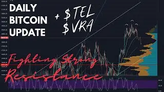Strong $BTC Resistance at $49,800 also $TEL and $VRA Analysis [Daily Bitcoin Update]