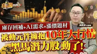 被動元件黃金盛世4.0，即將在2026年來臨？這場由輝達所引領的「小零件大商機 」，又會把誰的股價推上高峰呢？《#高調經濟學 EP.9》| #高閔漳