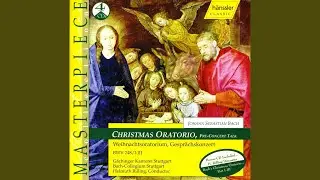 Aria: Grosser Herr, o starker Konig (Bass)