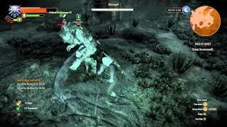 Witcher 3 Werewolf fight is BULLSHIT