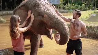 Elephant Mud Fun at Bali Zoo