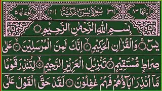 Surah Yasin (Yaseen) Full | سورۃ یس  ☘️ Surah Yasin Full | Best Quran |  Recitation | Episode 23  HD