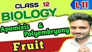 Fruit, Apomixis & polyembryony