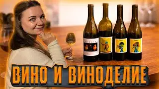 Про винодельню в Имеретии и грузинское вино.