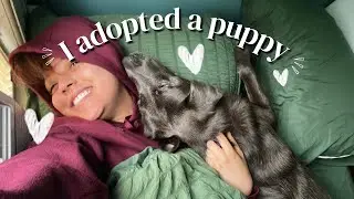 Adopting My Rescue Dog | First-Time Dog Owner Success Story