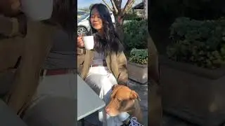 Coffee dates with your pup just got that much easier ☕️🐕