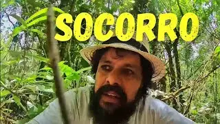 Conhe&ccedil;a a Cidade de Alto Rio Novo no ES. EP.235