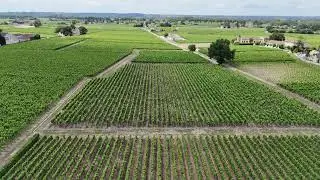 Fly over Pomerol