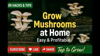 Agriculture Hacks: Master Fungiculture for Profit!