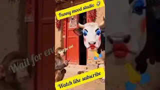 BandriNeCowKoBanayaMiss Universe 🐮👑😂 #FunnyShorts2025#funnymoodstudio#youtubeshort#shortsfeed #funny