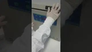 Prueba Cruzada