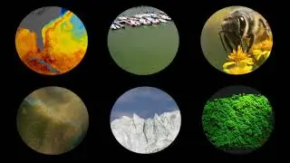NASA's Deep Dive into Earth's Intricate Systems on Earth Day