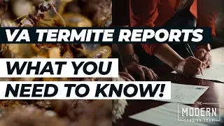 VA Termite Report- Termite Inspection Explained