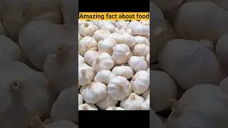 top 5 amazing fact about food, treding #ytshorts #facts #amazingfacts #viralvideo #foodfacts#shorts