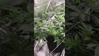 Lil update on the Led test