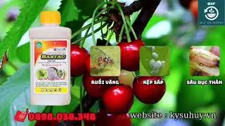 BASTAC &ndash; THIPRO 550EC THUỐC TRỪ S&Acirc;U, RUỒI V&Agrave;NG, RỆP S&Aacute;P - 0898.038.348 #bastac