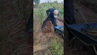 #132 Fixing a Damaged Field | A Beginner in Rural Life in Japan
