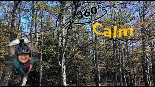 360 video tours I Calm Almindingen  I Bornholm Denmark
