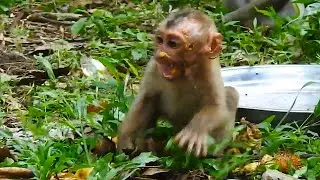 Pity abandoned Jimmy is crying tantrum after SP JR not nice to him while they're both eating