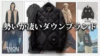 【圧倒的コスパ】勢いのあるダウンメーカーTAIONを全力で解説する！【ゆっくり解説】【ファッション】