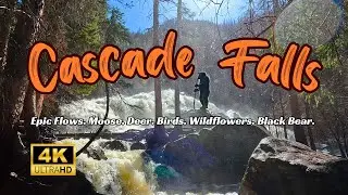 Cascade Falls Hike 4K - Insane Flow