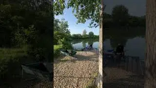 #fishing #nature #viralvideo #carp #carpfishing #fish #bassfishing #senzorplanet