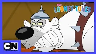 New Looney Tunes | Squeaks gegen Karotte | Cartoon Network