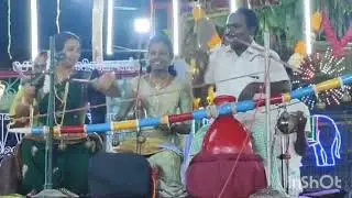 வசந்திவில்லிசை