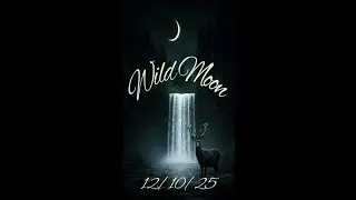 Wild Moon 12/10/25 #tarot #spiritual #medium #empath #oracle