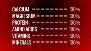 Life Source Meals Food Storage - Gluten Free #1 Choice for Emergency Meals