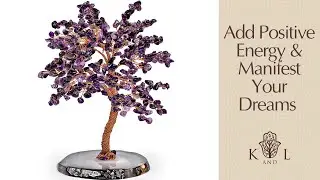 Add Positive Energy & Manifest Your Dreams with the Feng Shui Tree of Life | Karma and Luck