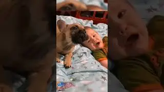 #cat #funny #happycats #catmemes #music #memes #trending #trendingshorts #tiktok #new #reels #ad