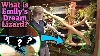 New Mystery Lizard for the Facility!