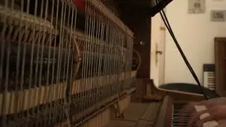 Felt Piano | Treatments | Rud. Ibach piano