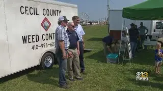 Health Officials Investigating COVID-19 Outbreak At Cecil County Fair