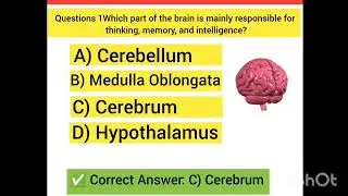 Human Brain GK Question | Thinking, Memory & Intelligence