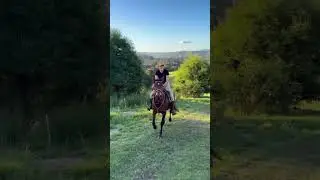 Amazing video of green valley with horse riding 🏇 #ytshorts #horse #justinto #viralvideo #trending