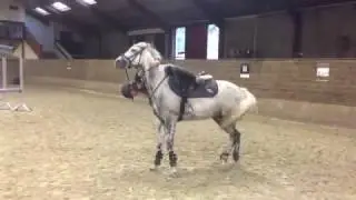 Falls and fails!